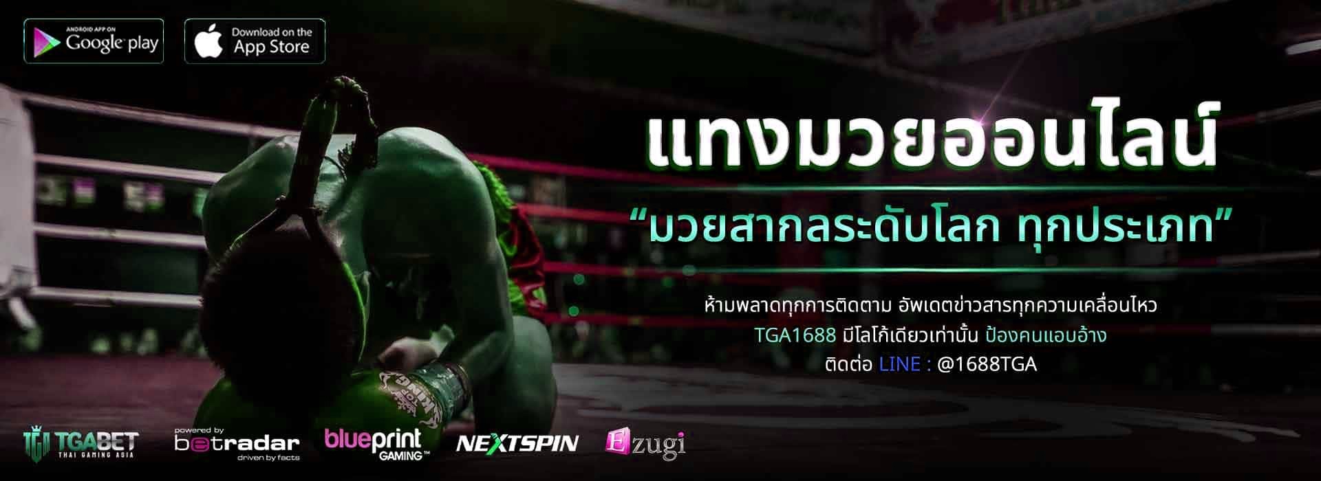 แทงมวยออนไลน์